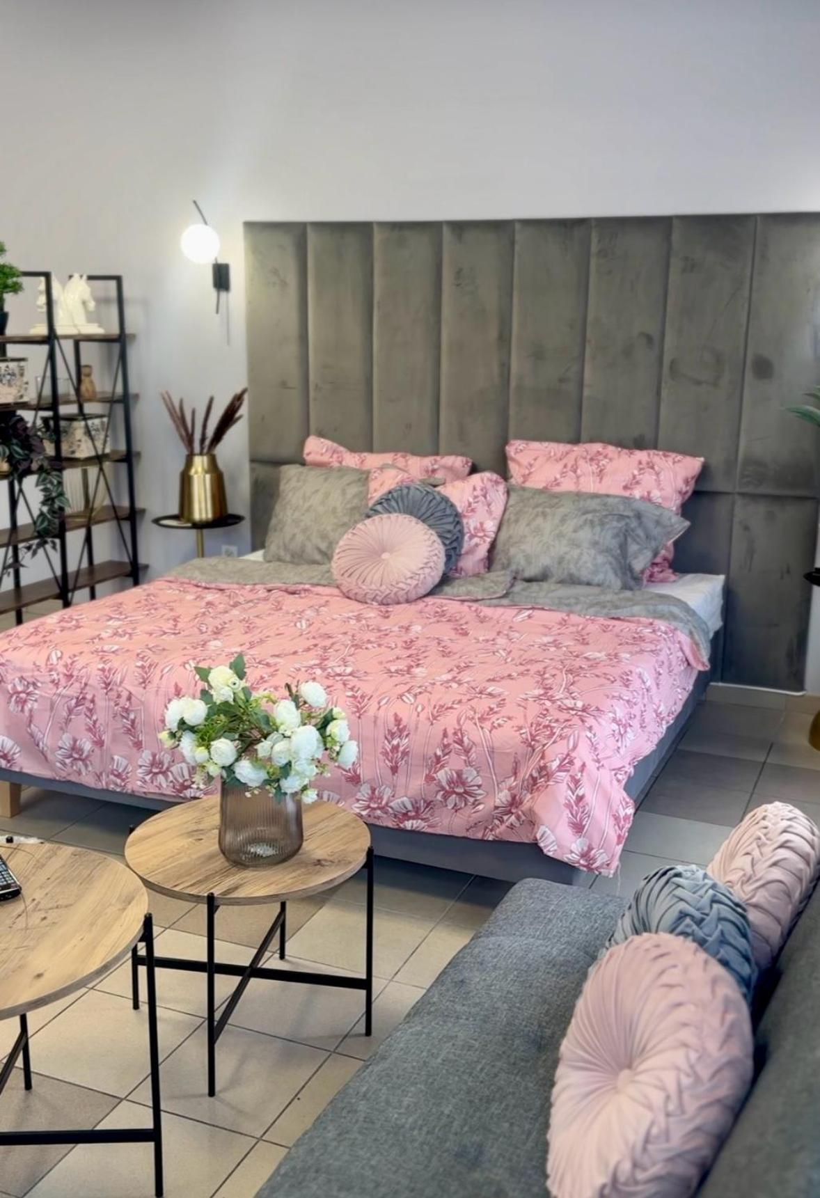 Apartamenty I Pokoje „Pod Jedynka” Константынув-Лодзинский Экстерьер фото